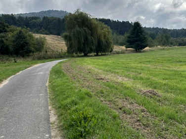 Działka budowlana Sady