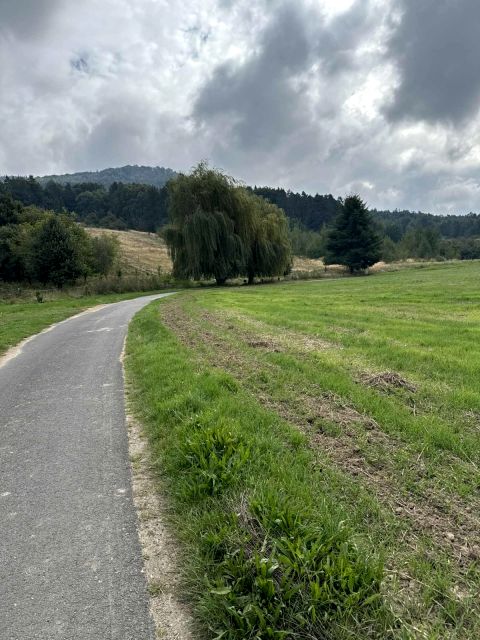 Działka budowlana Sady