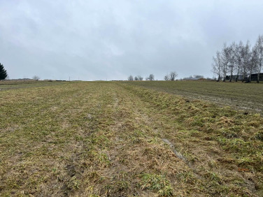 Działka budowlana Chocznia