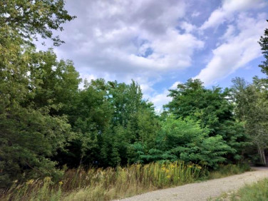 Działka budowlana Strzeniówka