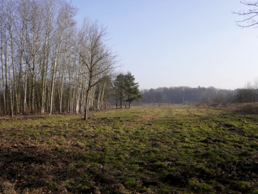 Działka budowlana Komorów