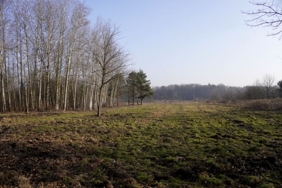 Działka budowlana Komorów