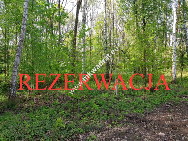 Działka Stare Budy Radziejowskie