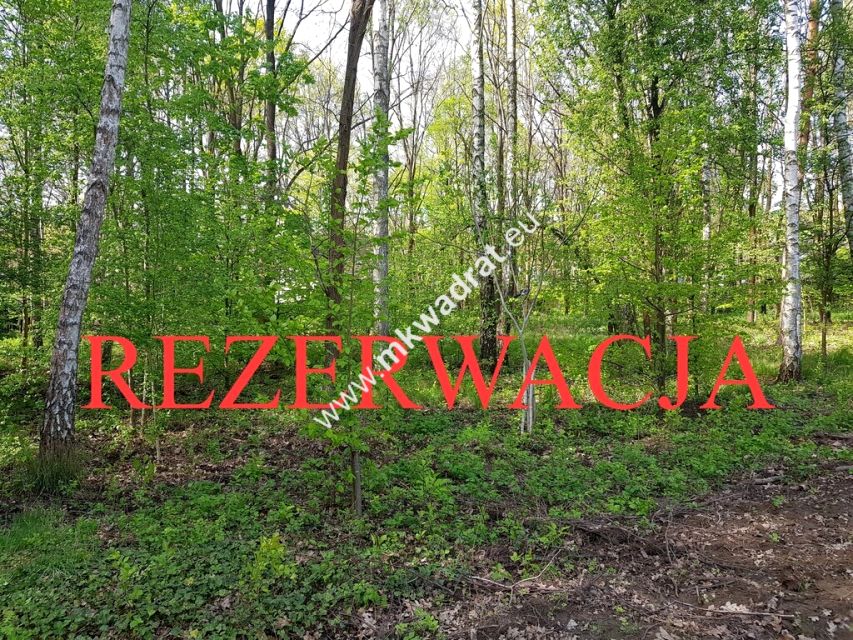 Działka Stare Budy Radziejowskie