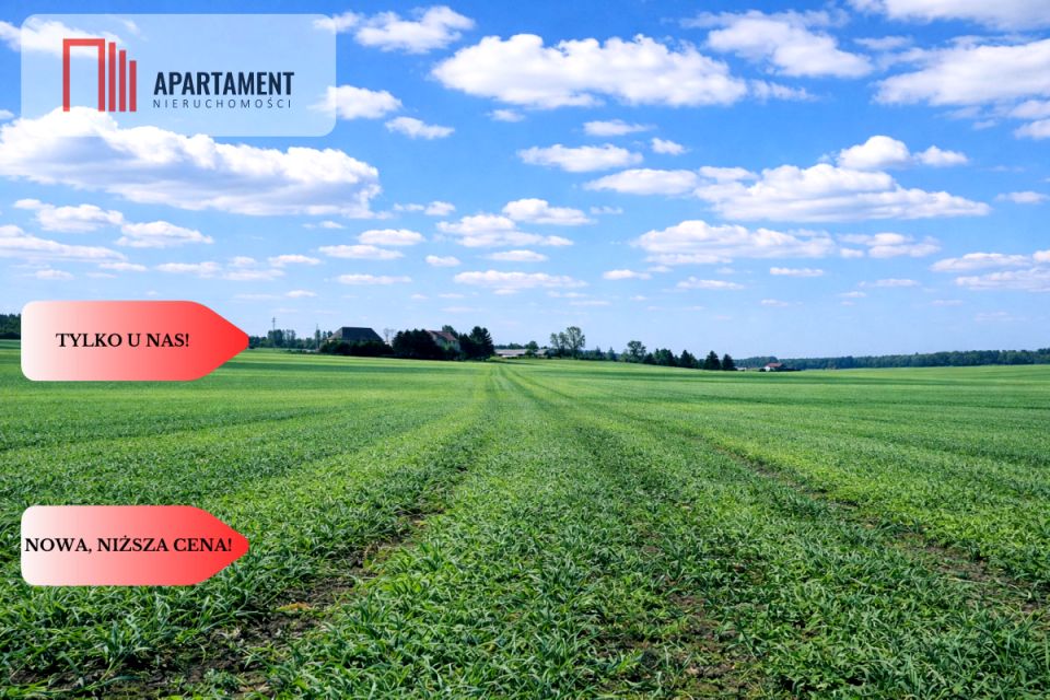 Działka inna Osetno