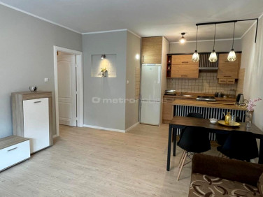 Mieszkanie Toruń wynajem