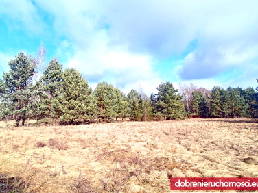 Działka budowlana Kruszyn Krajeński