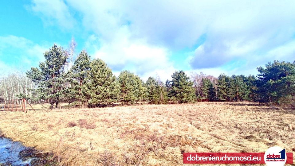 Działka budowlana Kruszyn Krajeński