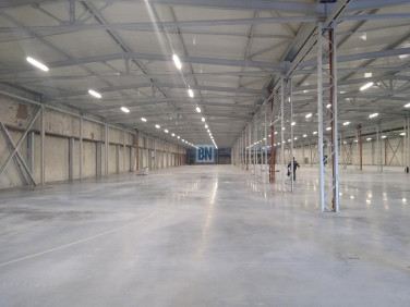 Budynek użytkowy Zabrze wynajem