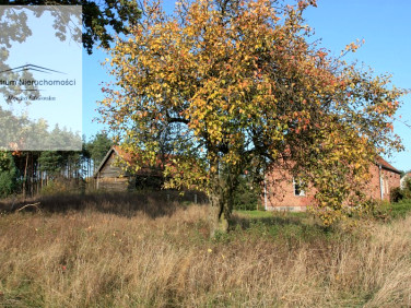 Działka budowlano-rolna Lubiewice
