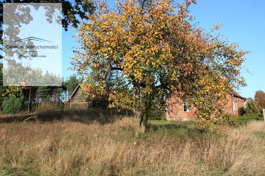 Działka budowlano-rolna Lubiewice