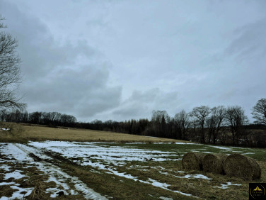 Działka budowlano-rolna Draganowa sprzedam