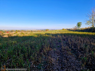Działka siedliskowa Wilków