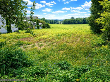 Działka budowlana Maszków