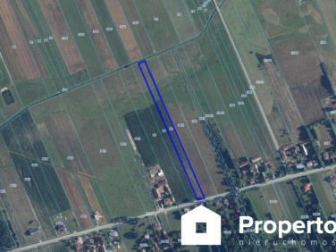 Działka budowlano-rolna Nowa Pecyna
