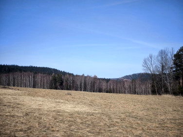 Działka budowlana Kurów