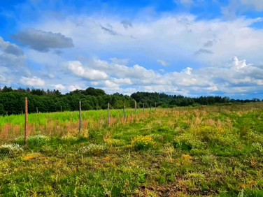 Działka budowlana sprzedam