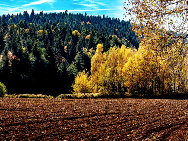 Działka budowlana Kołkówka