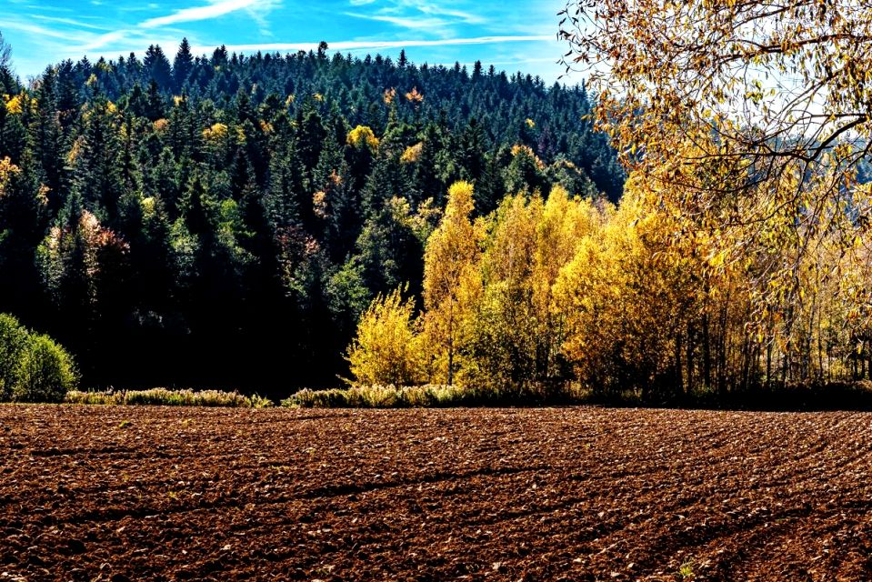 Działka budowlana Kołkówka