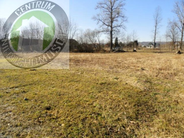 Działka budowlana Świniarsko