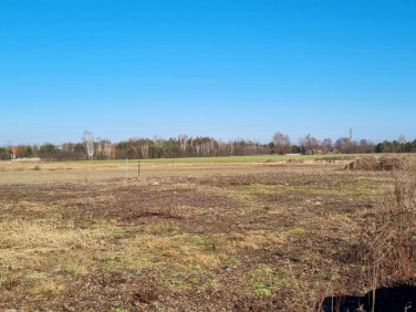 Działka budowlana Walendów