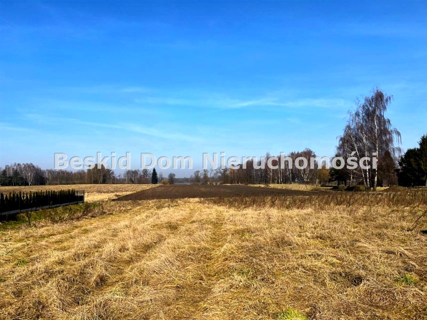 Działka usługowa Dankowice