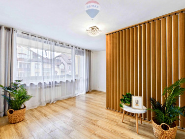 Mieszkanie Zielona Góra