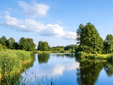 Działka rekreacyjna Kamiennik