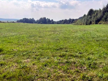 Działka budowlana Studzianki