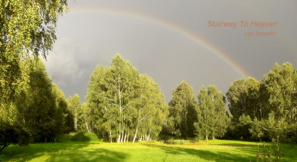 Działka budowlana Starzykowo