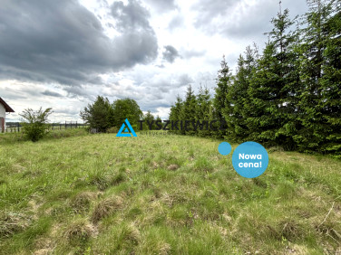 Działka przy lesie