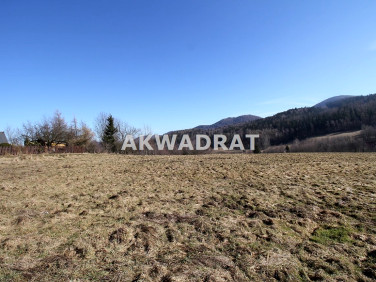 Działka budowlana Wałbrzych