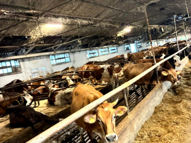 Działka inna Będziechowo