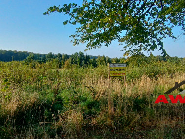 Działka budowlana Darzlubie