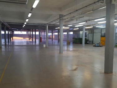 Budynek użytkowy Ciechanów