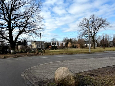 Działka usługowa Żórawina