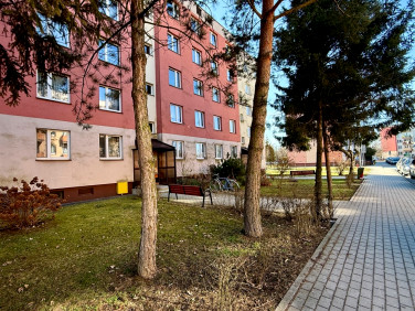 Mieszkanie Oświęcim