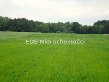 Działka Wola Przerębska