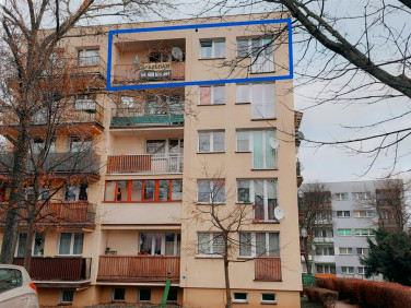 Mieszkanie Trzebnica