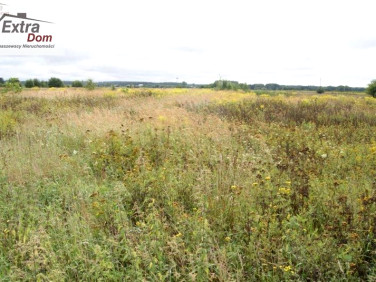 Działka rolna Rogozina sprzedam