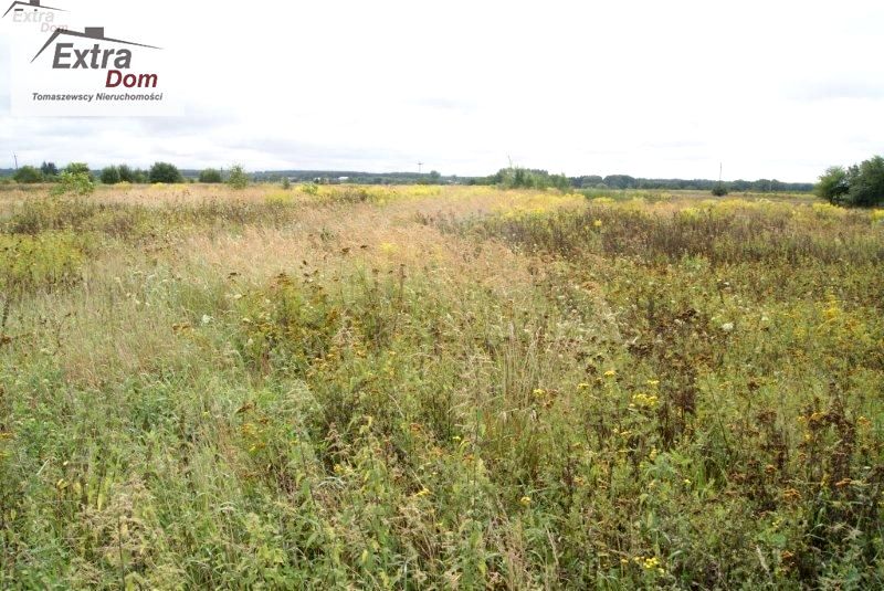 Działka rolna Rogozina sprzedam