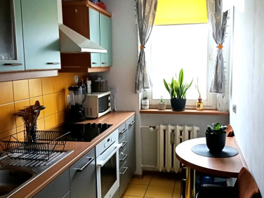 Mieszkanie Olsztynek