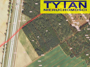 Działka leśna Kobylin