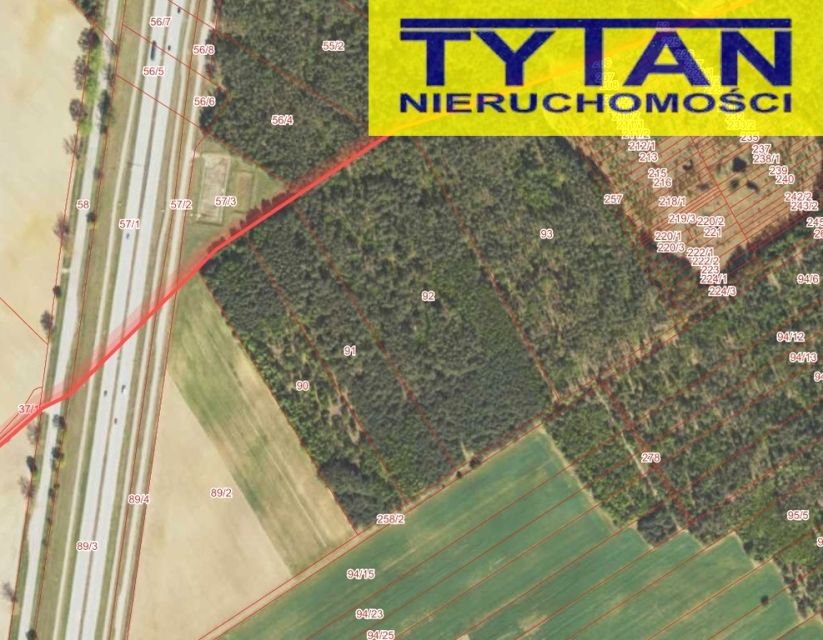 Działka leśna Kobylin