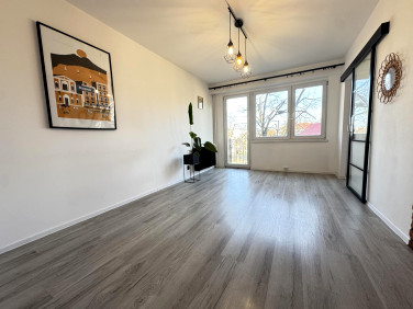 Mieszkanie przy lesie