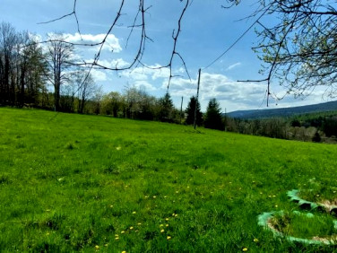 Działka siedliskowa sprzedam