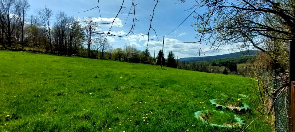 Działka siedliskowa sprzedam