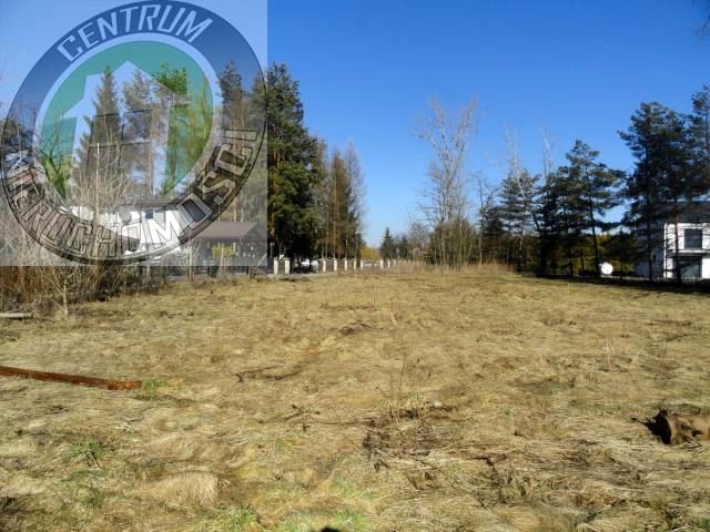 Działka budowlana Świniarsko