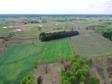 Działka budowlano-rolna Cieciory sprzedam