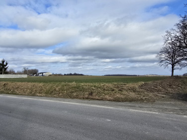 Działka budowlana Damianowo